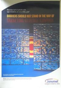 Barriers Should Not Stand in the Way of Targeting Glucose Control