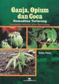 Ganja, Opium, dan Coca: Komoditas Terlarang (Narkoba Musuh Kita Bersama)